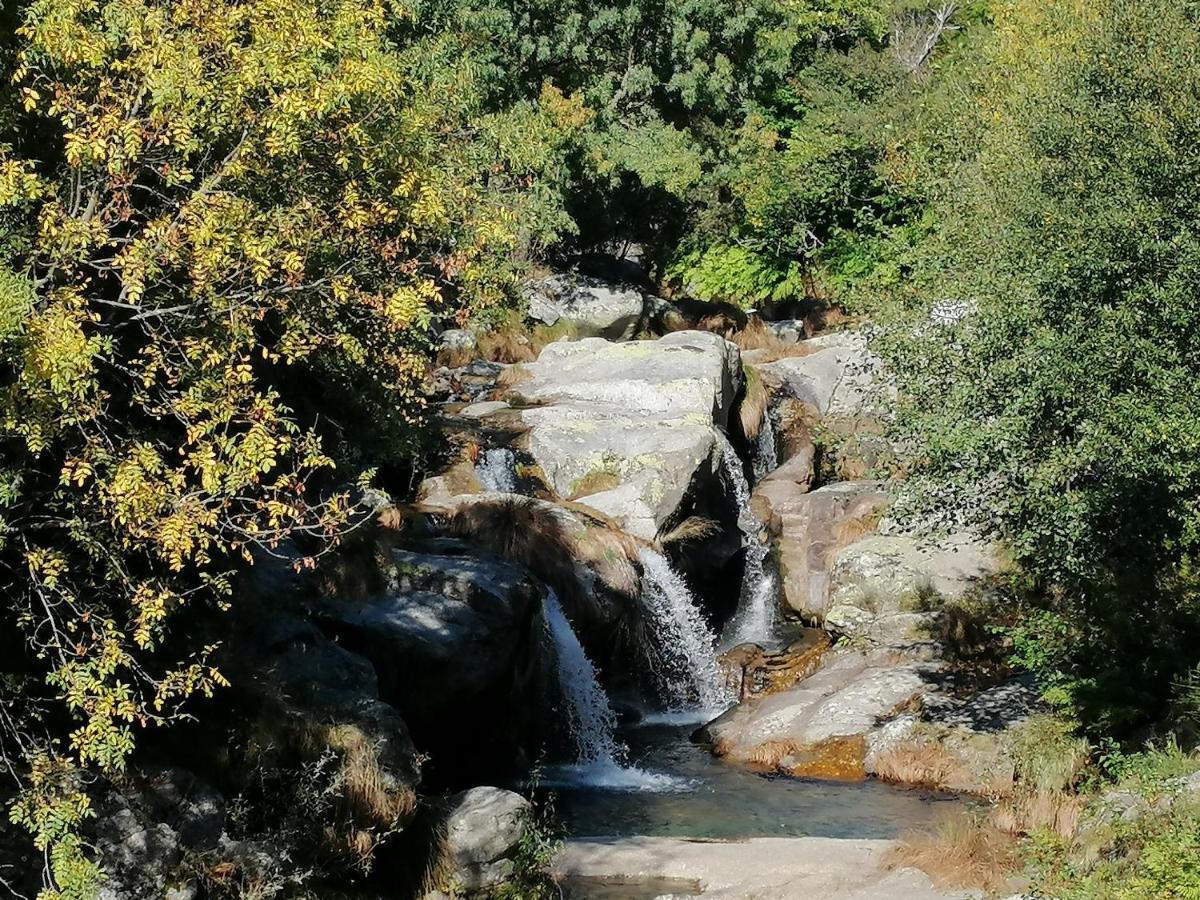 Quinta Do Pe Longo - Serra Da Estrela Villa Cortes do Meio Ngoại thất bức ảnh