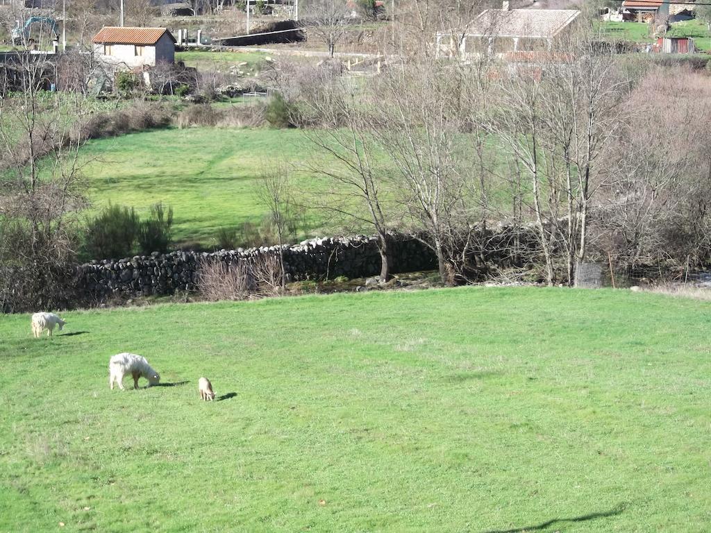 Quinta Do Pe Longo - Serra Da Estrela Villa Cortes do Meio Ngoại thất bức ảnh